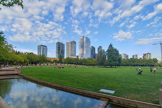 An image of a park in front of skyscrapers in Bellevue, WA