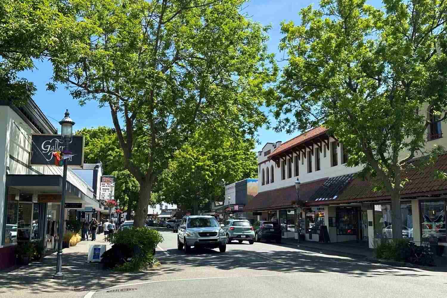 A street lined with trees and small businesses in Edmonds, WA.