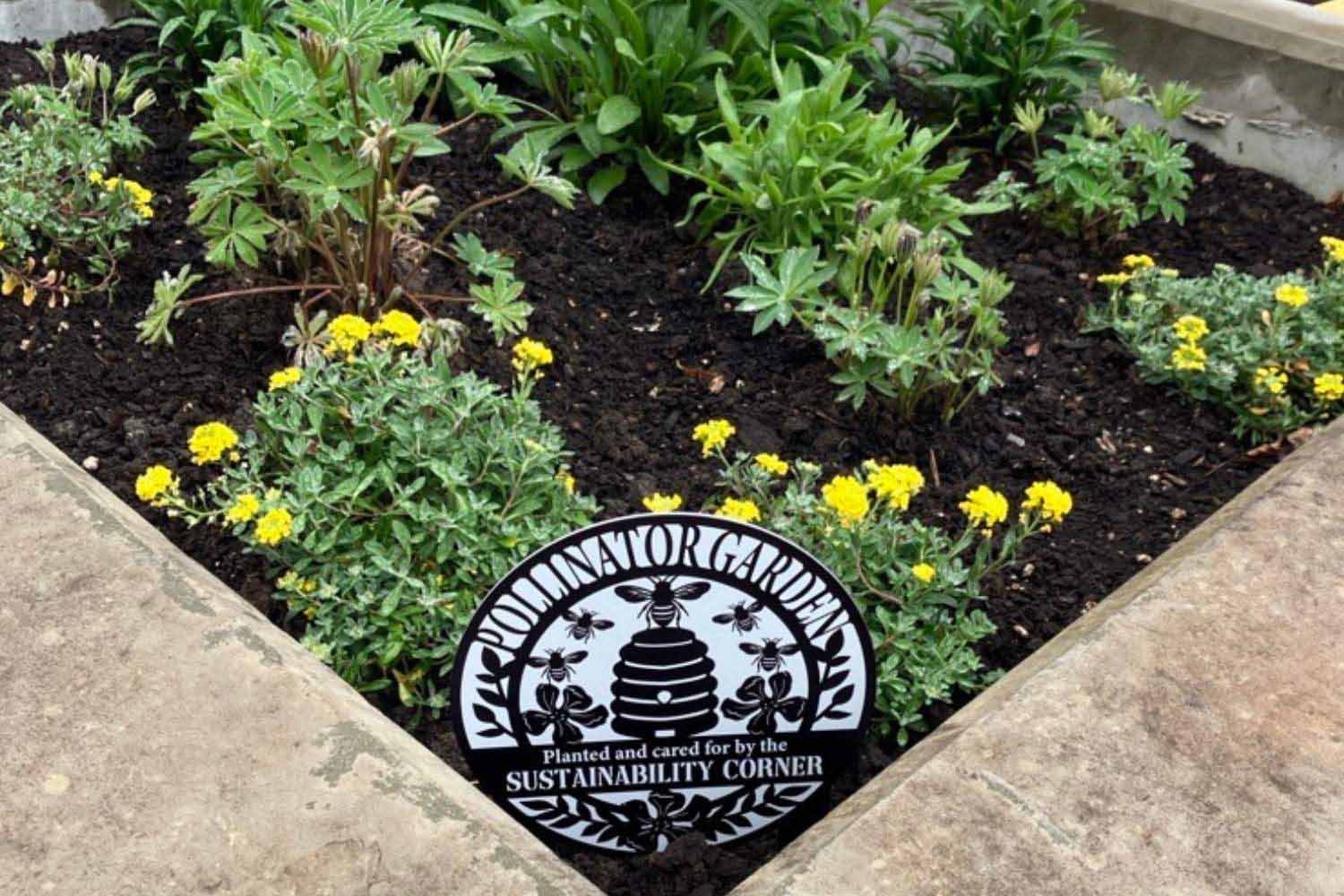 Community Transit's Pollinator Garden