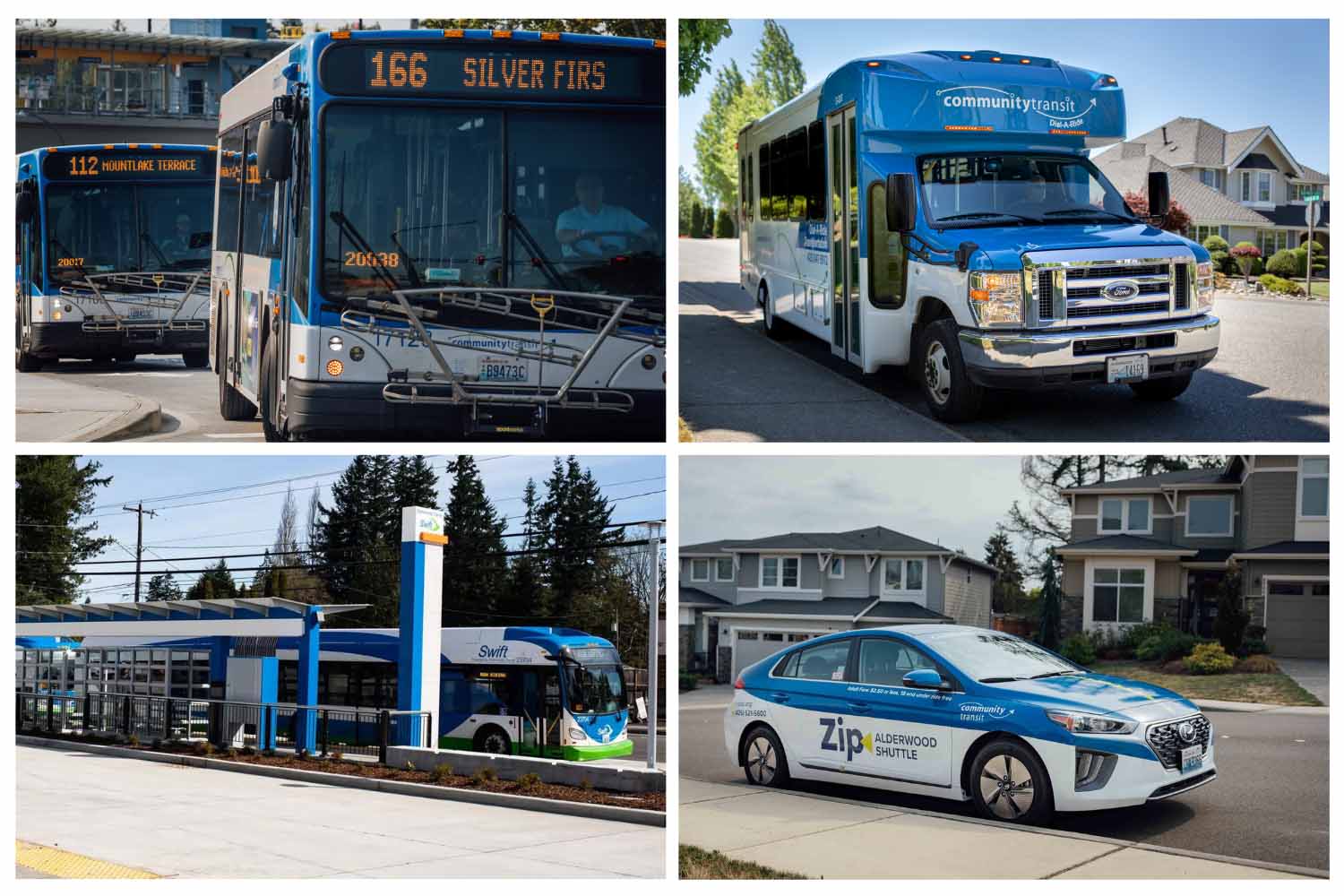 A collage showing a Community Transit bus, Swift bus, DART vehicle and Zip Shuttle