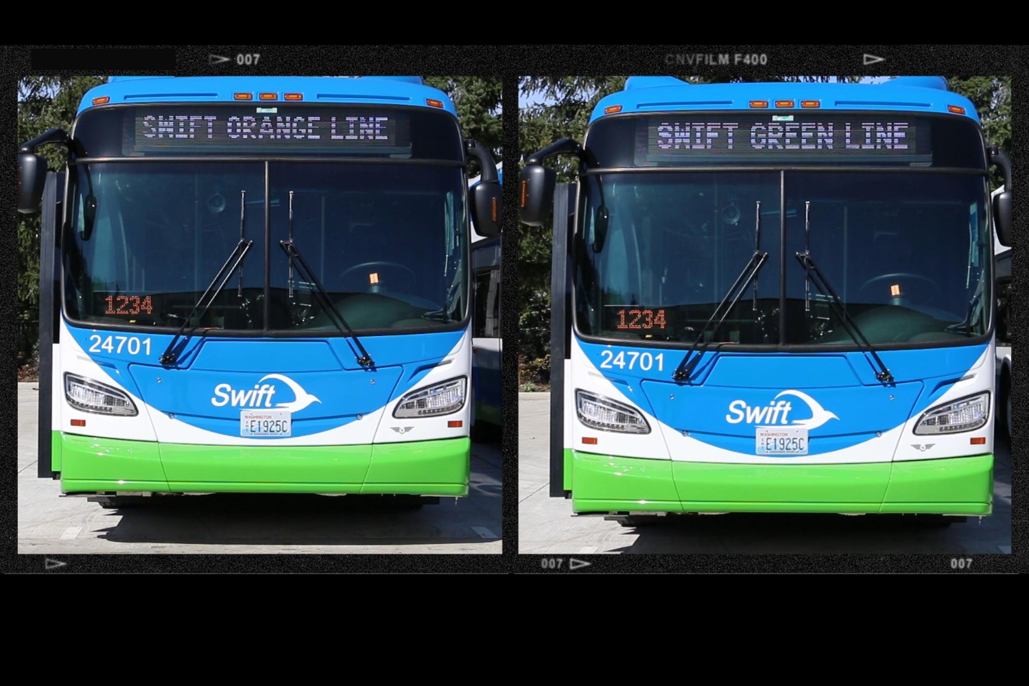 Two Swift buses with 