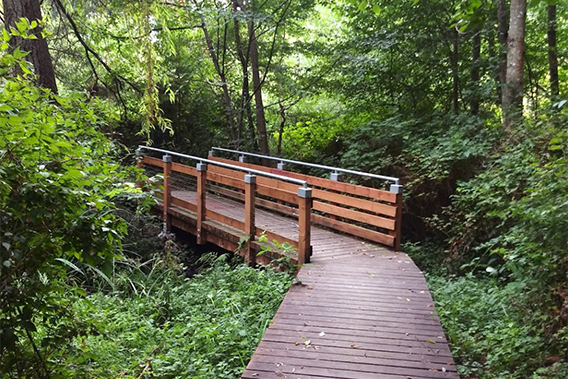 An image of a footbridge in the forest in Brier, WA