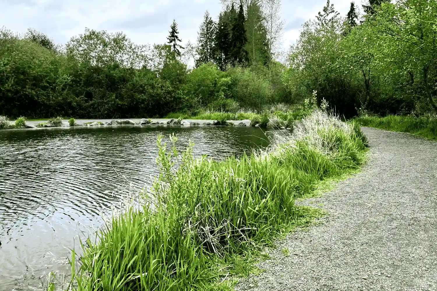 Jennings Nature Park
