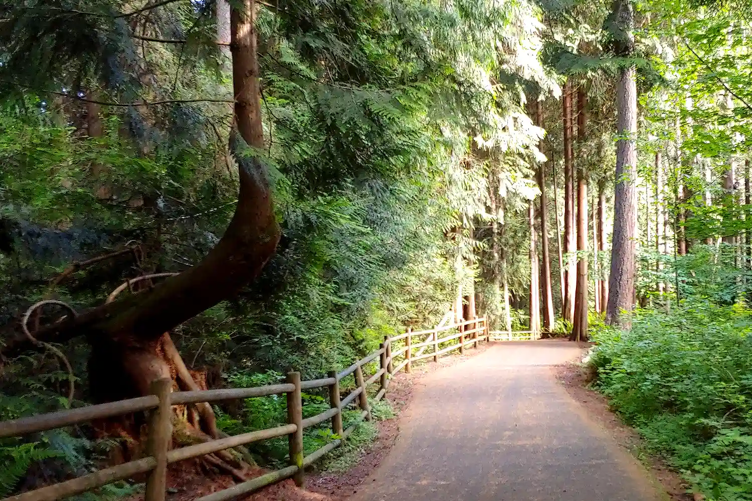 hiking trails - photo: alltrails.com