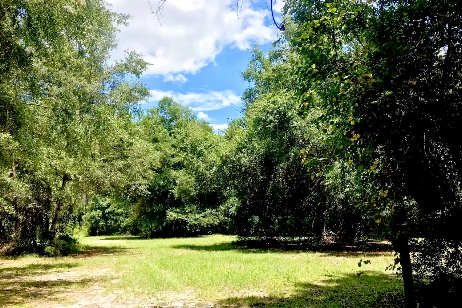 Mill Creek Preserve