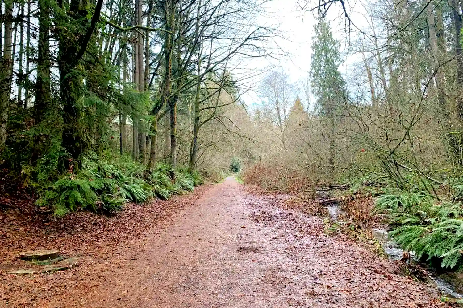 Terrace Creek Park