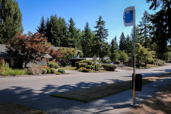An image of a bus stop on a quiet road in Mays Pond, WA