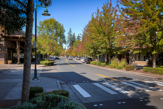 An image of a street with a crosswalk in Mill Creek, WA