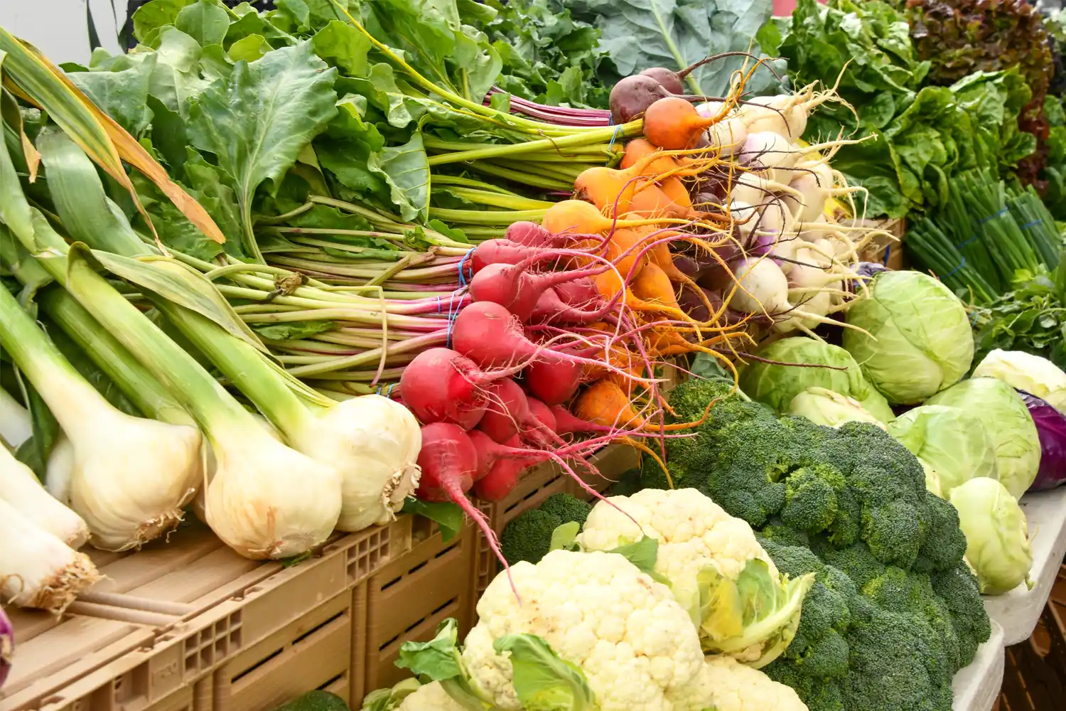 Farmers Markets