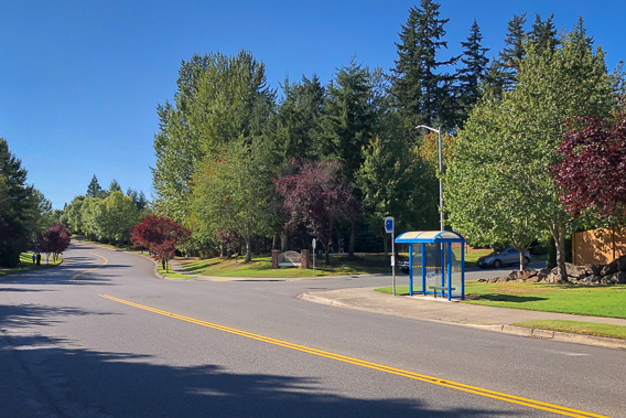 An image of a bus stop along a quiet street in Silver Firs, WA
