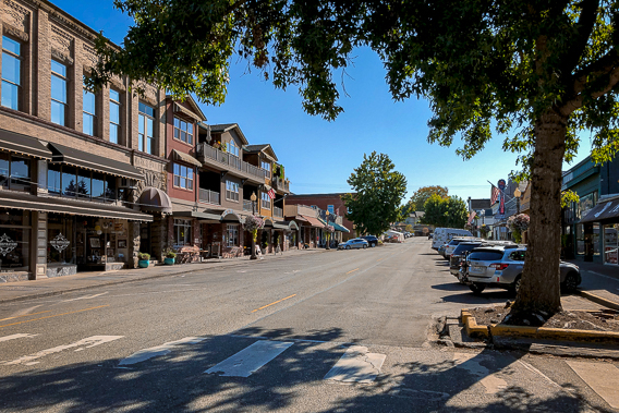 An image of a street with businesses in downtown Snohomish, WA