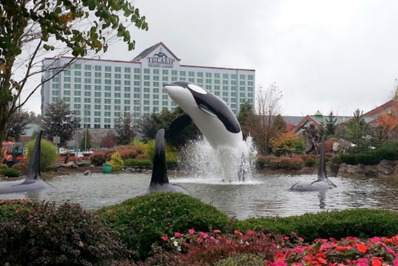 An image showing the orca whales in the water feature outside the Tulalip Casino