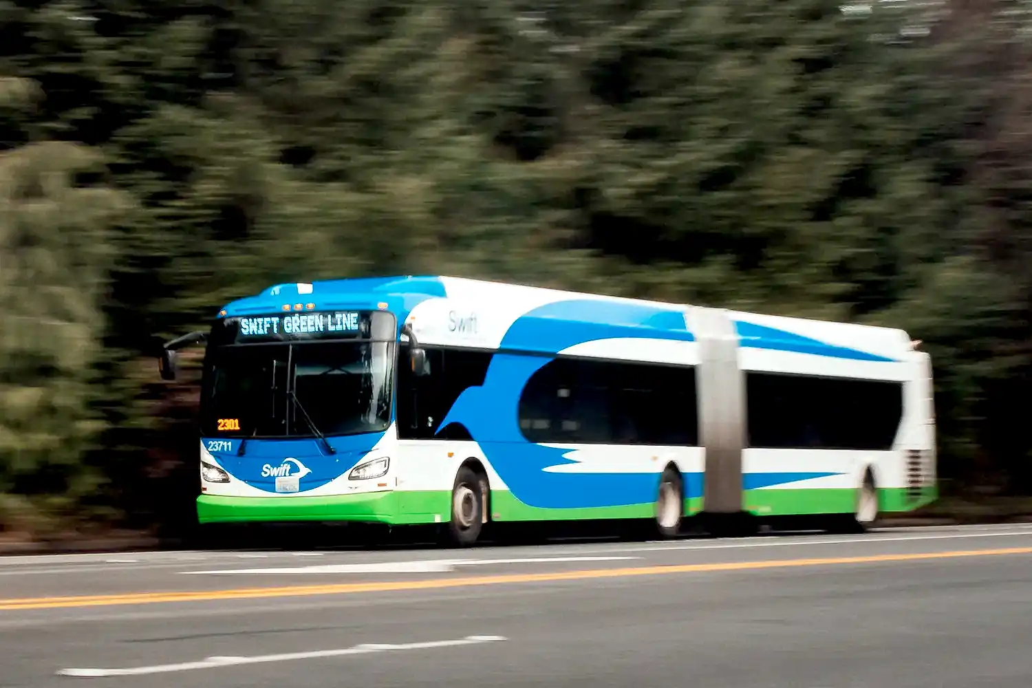 a Swift rapid transit bus driving on a road lined by evergreen trees